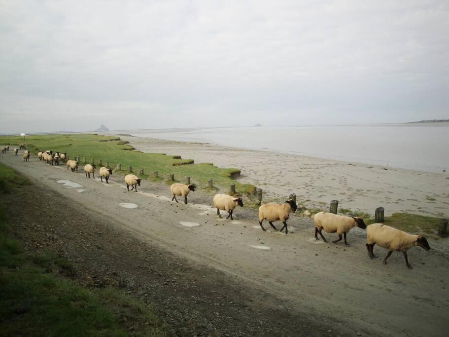 De Douanier En Baie Du Mont Saint Michel Insolite Holiday home Courtils